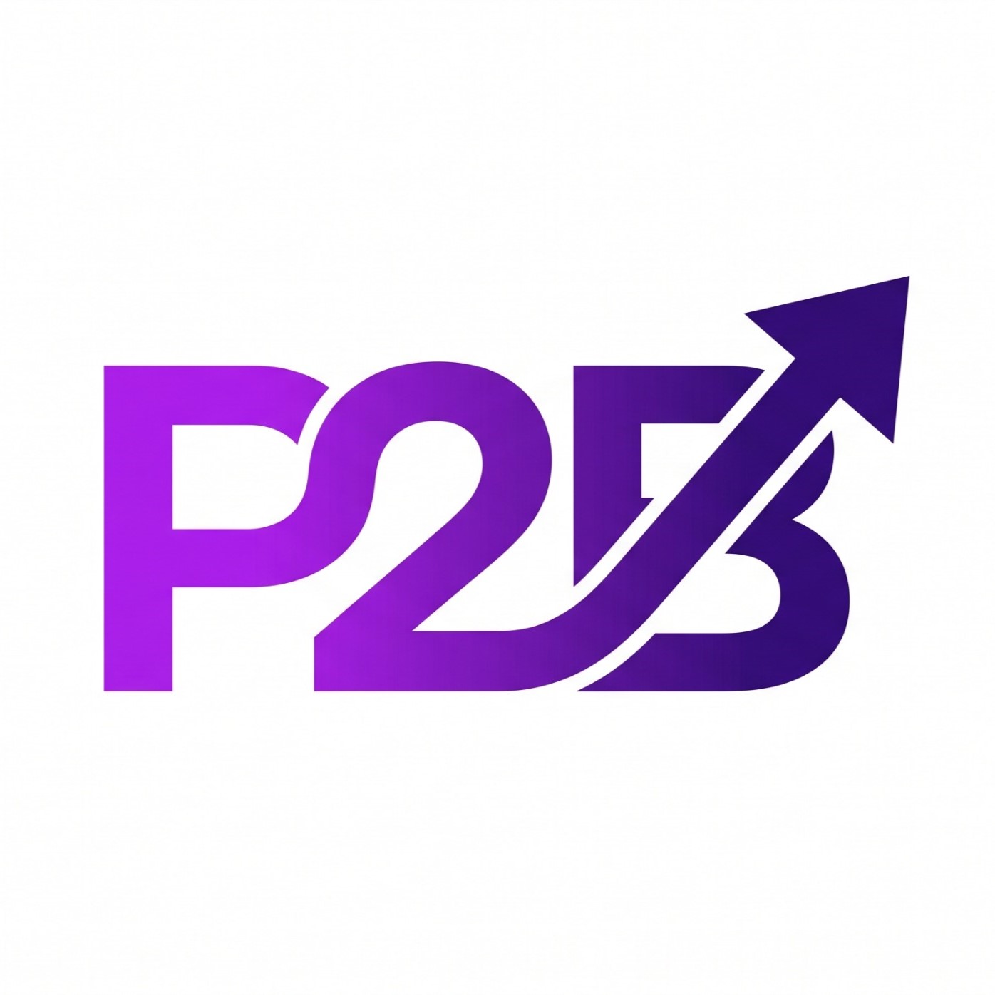 Pay2Bulk Logo